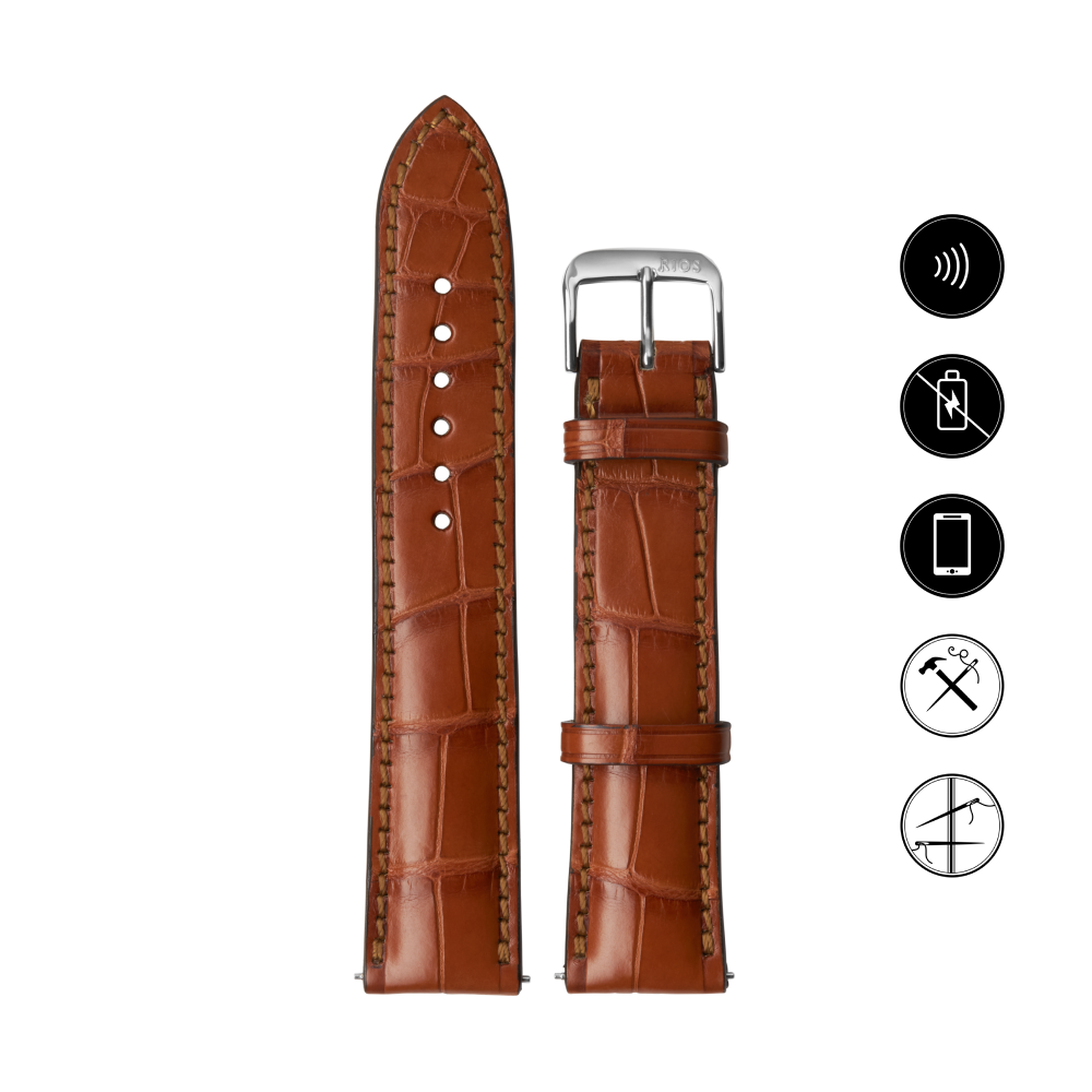 Invis Pay Watch Strap Model President Invis Wearables Invis Pay Watch Strap Model President Invis Wearables